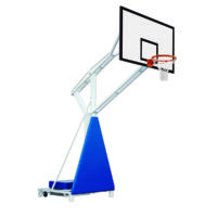 Canasta Regulable en Altura Metálica: Baloncesto, Minibasket
